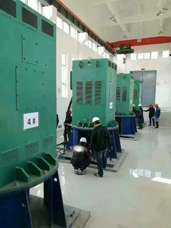 YKK8006-16某污水处理厂使用我厂的立式高压电机安装现场