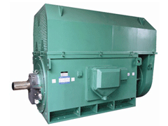 YKK8006-16Y系列6KV高压电机